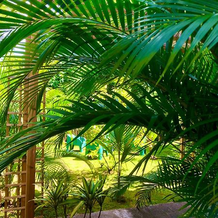 Ti Kay Ilets Villa Les Trois-Ilets Ngoại thất bức ảnh