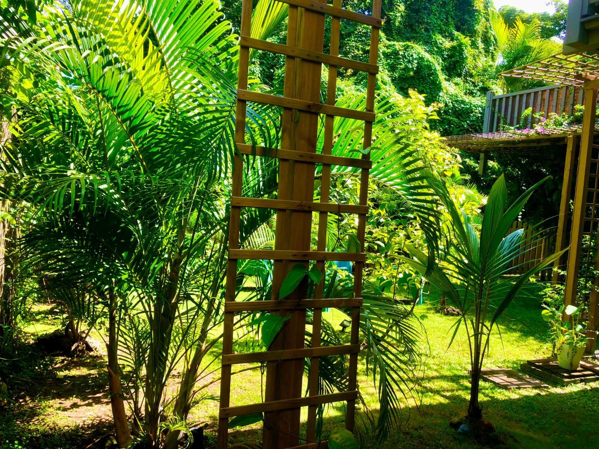 Ti Kay Ilets Villa Les Trois-Ilets Ngoại thất bức ảnh